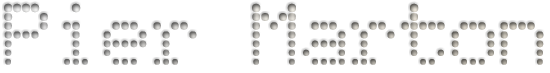 Chameleon Logo