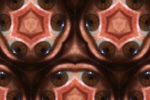 KaleidoVid