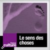 Le Sens des Choses: La Consolation (à écouter!) – Chaque Samedi & Dimanche