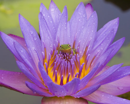 Joanne Williams’ Wildlife Photography