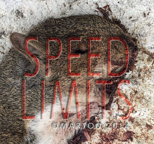 SPEED LIMITS